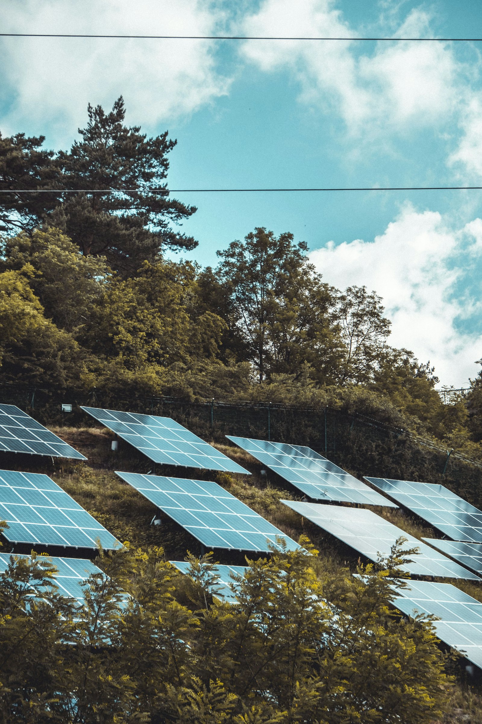 Ground-mounted solar array